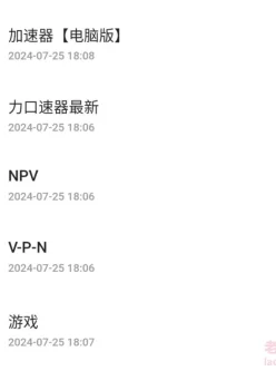 各类加速器vpn合集，有安卓破解版，也有电脑专用